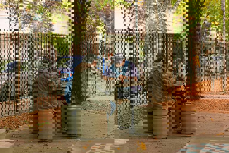 Neighbourhood Chess Tournament Attracts Players of All Ages